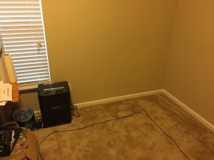 IMG_0341.jpg