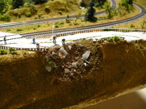 T-IMG_0113.JPG