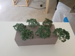 20180721_180008.jpg