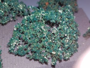 20180721_180145.jpg