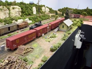 String of WC Cars at Siding.JPG