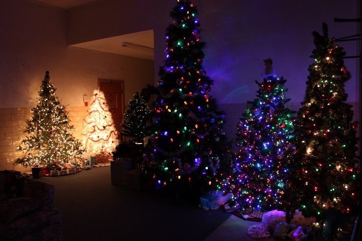 ChristmasTrees2012-1.jpg