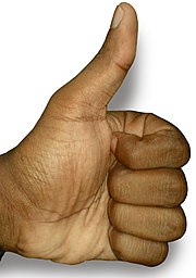 180px-The_Thumbs-up_position.jpg