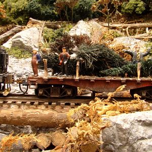Logging Christmas trees in Eastern Tennessee
