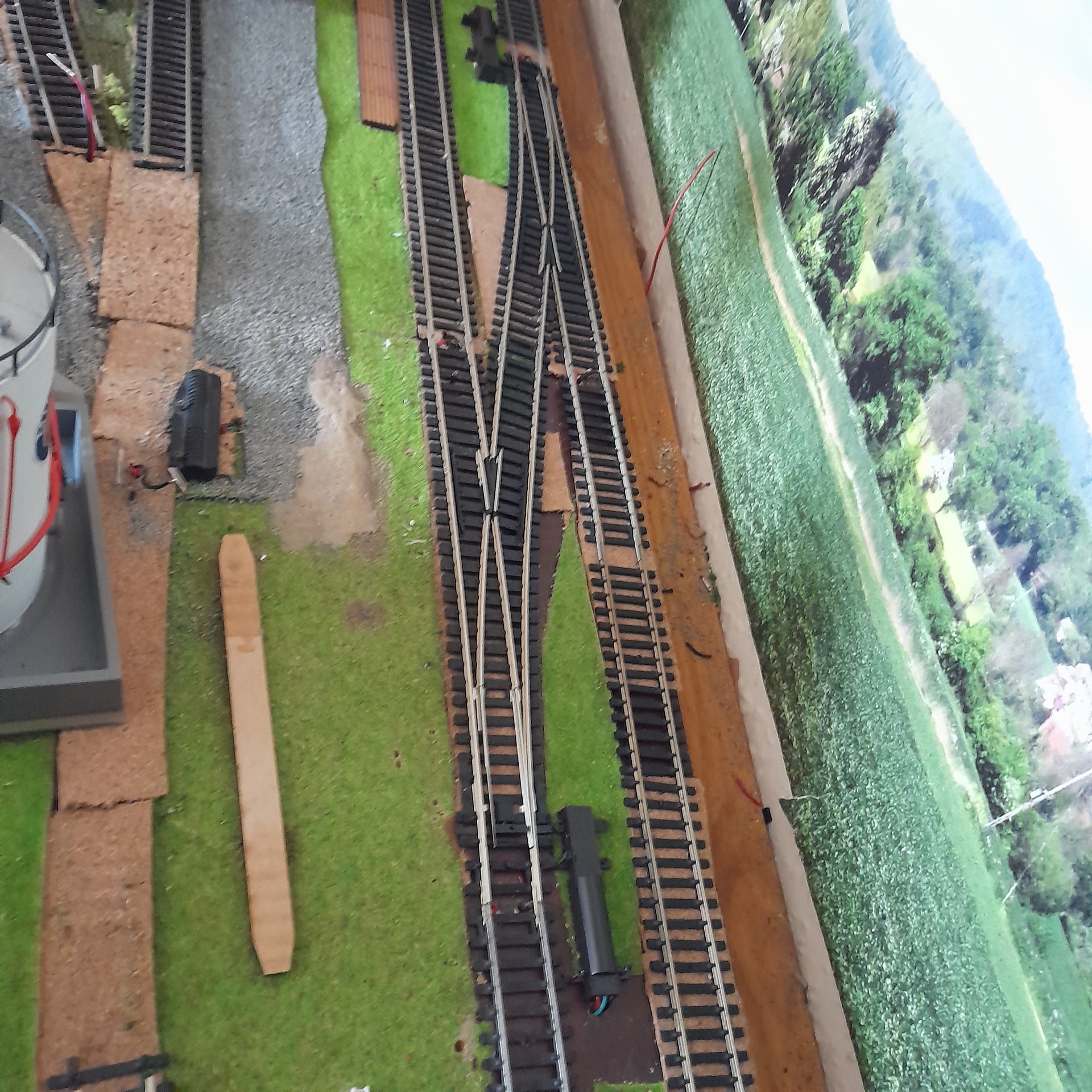 Plant Tree Vehicle Train Track